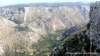 stello marchesa di Cassibile-10-02-2015 19-55-17